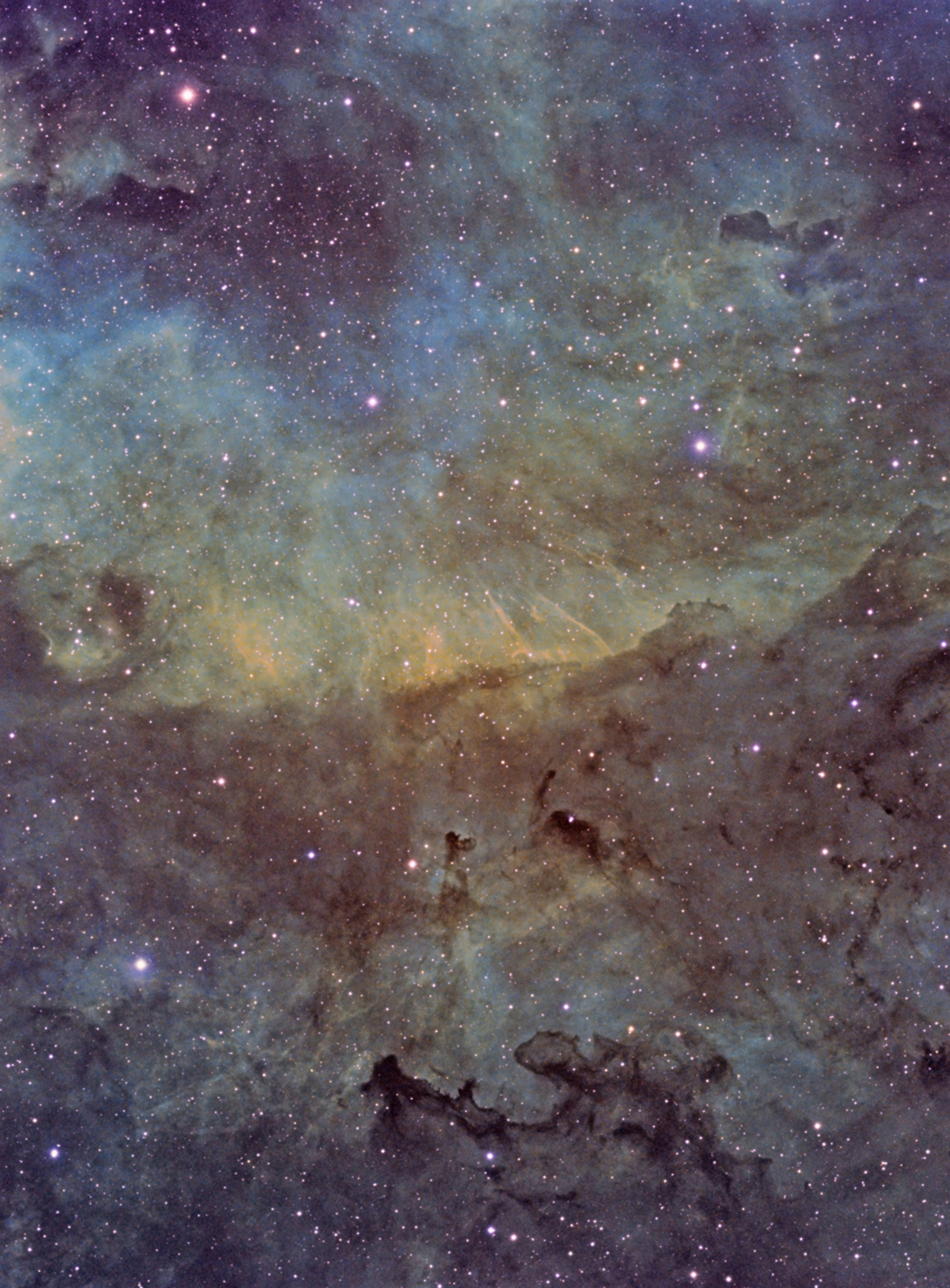 Wow! Stargazer Eyes Beautiful Region Rich in Nebulas (Photo)